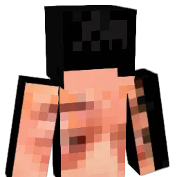 Feel_ipe Minecraft avatar bust
