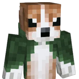 Fefo2572 Minecraft avatar bust