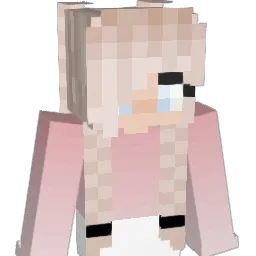 FenderBender510 Minecraft avatar bust