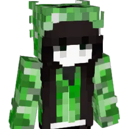 Fer263 Minecraft avatar bust