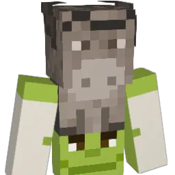 Ferew07 Minecraft avatar bust