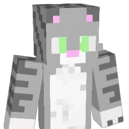 FergalTheCat Minecraft avatar bust