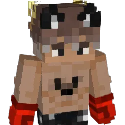 Ferrct's Minecraft skin