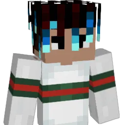 FewsorY Minecraft avatar bust