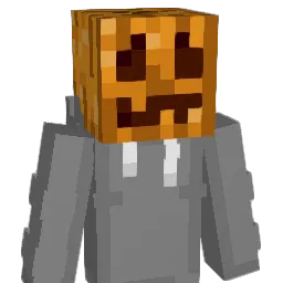 Fexofenadine214 Minecraft avatar bust