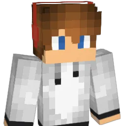 FfLlIiXx Minecraft avatar bust