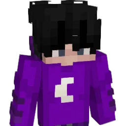 Ffighters3 Minecraft avatar bust