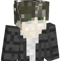 FiFlak221