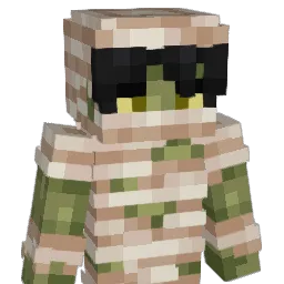 Minecraft-Avatar von Fibzie: Büste