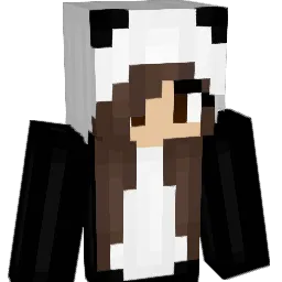 Fidgit40 Minecraft avatar bust