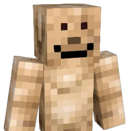 Fifi007 Minecraft avatar bust