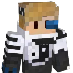 FightWithBabys Minecraft avatar bust