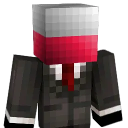 FiliPL555 Minecraft avatar bust