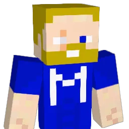 Findus1407 Minecraft avatar bust