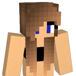 Finn080711 Minecraft avatar bust
