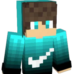 Finn161233 Minecraft avatar bust