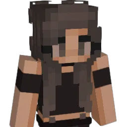 FinnDeSoos Minecraft avatar bust