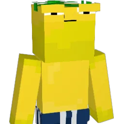 FinnM2013 Minecraft avatar bust
