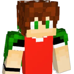 FinnMcCoul Minecraft avatar bust