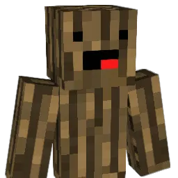 Finnicoli Minecraft avatar bust