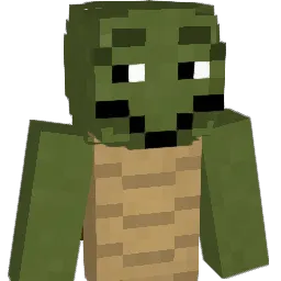 FinnyTurtle1