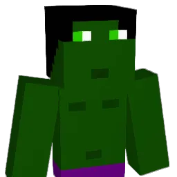 Finster1231 Minecraft avatar bust
