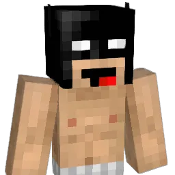 FireBird110 Minecraft avatar bust