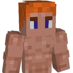 FireTeamZYX888 Minecraft avatar bust