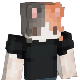Fishingon611 Minecraft avatar bust