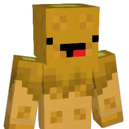 FjoortiZz Minecraft avatar bust