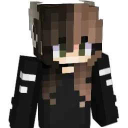 Fkys0317 Minecraft avatar bust