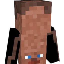 Fl148x Minecraft avatar bust