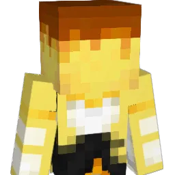 FlanWithAPlan's Minecraft skin