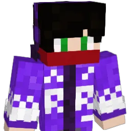 Flashz_ Minecraft avatar bust