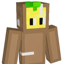 FlatPackedLemons Minecraft avatar bust