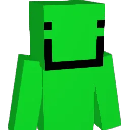 FlatterSaturn33 Minecraft avatar bust