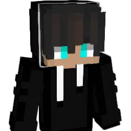 Flawed_333 Minecraft avatar bust