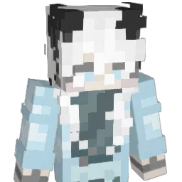 Flawless_Gamer