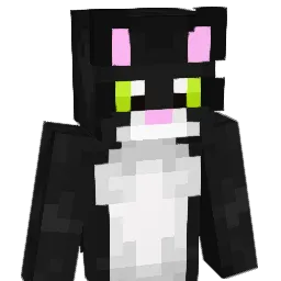 Minecraft-Avatar von Flawory: Büste