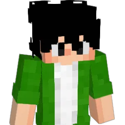 FlayMP4