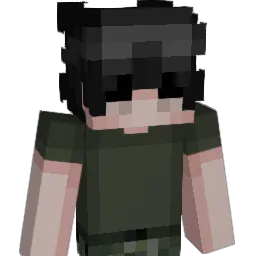 Fleckenentferner Minecraft avatar bust