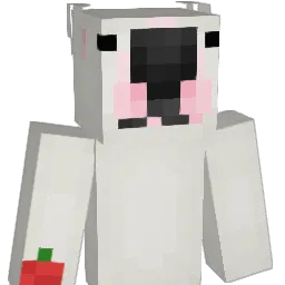 Fleppie Minecraft avatar bust