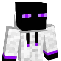 Fleur2 Minecraft avatar bust