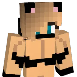 Flexxeer