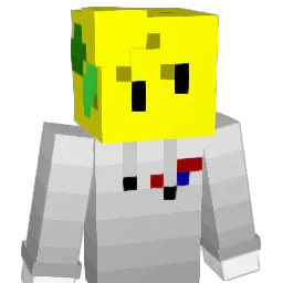 FlintN_Steel Minecraft avatar bust