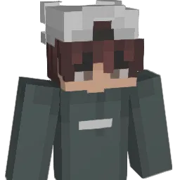 Flipp3r_007 Minecraft avatar bust