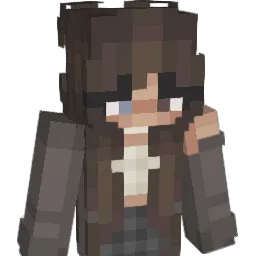 Flixbusleiter's Minecraft skin