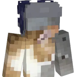 Fllexis