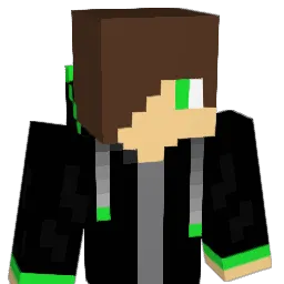 Flo2211 Minecraft avatar bust