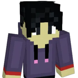 FlockeXY Minecraft avatar bust